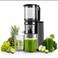 Slow Juicer with Extra-Large Feed Chute, Full Copper Motor, Slow Squeeze Technology, Advanced Juice &amp; Pulp Separation, 1L Juice Container &amp; 700ml Pulp Container