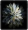 Oppo Find N3 Fold 16GB 512GB 5G BLACK - International Version