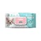 Absorb Plus AntiBacterial Pet Wipes Floral Scented
