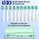 SEAGO Electric Toothbrush with 10 Brush Heads,Travel with Travel Case and Holder,Smart Timer for Adults,SG-2316(Green)
