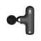 Green Lion Mini Pro Massage Gun, 40W Power, 2200-4000 RPM Motor Speed, 800mAh Battery, 1-3 Hours Working Time, Quiet Operation (<55 dB), Lightweight &amp; Portable, Black
