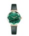 Green Lion Swarovski Smart Watch, 16mm Width Watch Band, Fingerprint Protection, Wireless Charger, Multiple Touch, User-Friendly Interface, Easy to Pair, Stylish Green Design