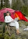 Green Lion Outdoor Camping Chair with Carrying Bag, Fabric Oxford 600D Material, Lightweight and Durable, Built-in Bottle Holding Pocket, 61&times;62&times;88cm Spacious Design, Dark Green
