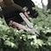 Green Lion Multi-Plier X 15-in-1 Multi-Tool Kit, Stainless Steel 420, 2.9" Blade, Long-Nose Pliers, Wire Cutters, Bottle Opener, Saw, Knife Blade, Screwdrivers, Rope Cutter, Silver
