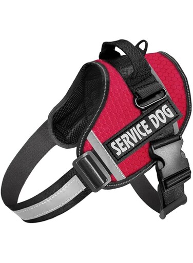 Joyzzz Dog Harness, Adjustable Outdoor Pet Dog Vest, No Pull Service Dog Harness with Handle, Reflective Soft Vest for Dog, Easy Control Front Clip Harness for Small Medium Large Dogs (S)