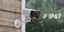 IMOU PS5E  5MP is a powerful outdoor security camera