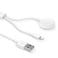 Devia Smart Series 2-in-1 Apple Watch Charging Cable, 1.2m Length, ABS+PC Material, Lightning &amp; Watch Output, Fast &amp; Safe Charging, Compatible with Apple Devices - White
