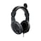 Rapoo H150S Stereo Wired Over Ear Headphones with Microphone Noise-Reduction, USB, Pc/Mac/Laptop/Chrome OS - Black
