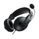 Rapoo H150S Stereo Wired Over Ear Headphones with Microphone Noise-Reduction, USB, Pc/Mac/Laptop/Chrome OS - Black

