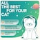 Cat Treats with Liquid Salmon E-Protein Hypoallergenic Lickable Treat For Kitten and Cat All Age (168g Pink)