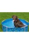 Bestway Fetchin Fun Pet Play School 561KM