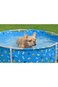 Bestway Fetchin Fun Pet Play School 561KM