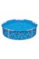 Bestway Fetchin Fun Pet Play School 561KM