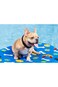 Bestway Fetchin' Fun Pet Pool Float