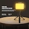 NEEWER Basic LED Video Panel Desk Light, Video Conference Lighting Kit with Desktop Tripod Stand/Filters for Webcam Computer Laptop Zoom Call Makeup Recording Selfie Streaming, Bi Color Dimmable, BP66