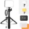 NEEWER Basic LED Video Panel Desk Light, Video Conference Lighting Kit with Desktop Tripod Stand/Filters for Webcam Computer Laptop Zoom Call Makeup Recording Selfie Streaming, Bi Color Dimmable, BP66