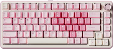 YUNZII B75 PRO Wireless Mechanical Keyboard,75% Gaming Keyboard Gasket Hot Swap Custom Keyboard with Knob,Pre-lubed Switches RGB,Bluetooth/Type-C/2.4G (Pink, Milk Switch)