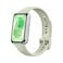 HUAWEI Band 11 Green Silver Aluminum
