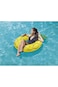 Bestway Water Float, 6121 (133cm)