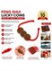 Feng Shui Lucky Coins with Red String Wealth Prosperity Charm Pack of 10