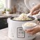 RAF Electric Rice Cooker &amp; Steamer Cooker 900W   5L Large Capacity Electric Cooker   Non-Stick Coating, Constant Temperature   Healthy Kitchen Appliance with 80% Less Oil