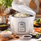 RAF Electric Rice Cooker &amp; Steamer Cooker 900W   5L Large Capacity Electric Cooker   Non-Stick Coating, Constant Temperature   Healthy Kitchen Appliance with 80% Less Oil