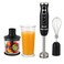 RAF 4 in 1 Hand Blender Set 1600W &ndash; Powerful Stick Blender with Two Speed Switches, 4 Blades, Chopper, Whisk &amp; 600ml Jar &ndash; Multifunction Food Processor for Juices, Smoothies &amp; Cooking