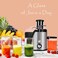 RAF Juicer Extractor 250W   Stainless Steel Fast Juice Maker with 350ml Jug   18,000 RPM High-Speed Juicer Blender   Compact Orange Juice Maker for Home Kitchen