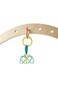 Hape Apple Grab Toy E8500