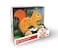 Hape Squirrel Pull Along   Wooden Pull Toy for Toddlers 12 Months+