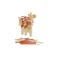 Wooden Balancing Game