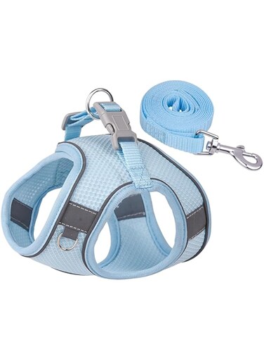 Dog Harness for Small Medium Dogs, No Pull Puppy Harness and Leash Set, Breathable Mesh Fabric Dog Harness for Small Medium Dogs, Mesh Dog Harness (Blue)
