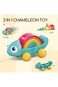 Hola Rainbow Chameleon