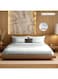 LIVING Polyester Queen Fitted Bedsheet Set-300 TC Silken Berry Art Silk Satin. 1 Sheet 160x200x30 cm / 2 Pillow Covers: 50x75 cm -Silver grey