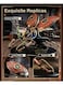 Rokr 3D Puzzles Mechanical Age Organism&rsquo;s Awaken Model - Rhinoceros Beetle (MI01)