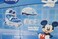 Ta Sport Adj Inline Skate Combo Set Disneychild Dc5003-A Pv