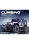 MyToys RC Racing Car 4X4 Climbing Beast 1:10 Scale