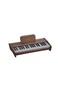 Wood Piano 25 Keys Electronic 801A