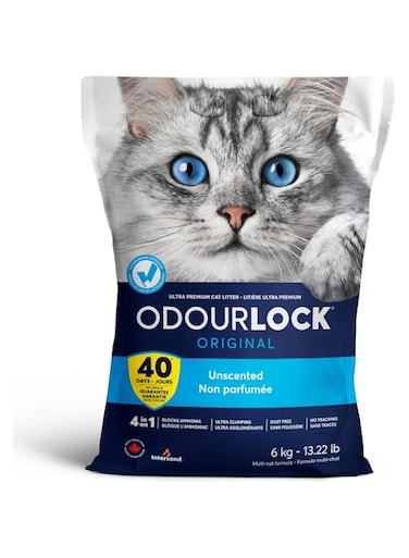Intersand Odourlock Premium Clumping Cat Litter - 6kg