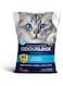 Intersand Odourlock Premium Clumping Cat Litter - 6kg