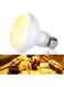 KASTWAVE Heat Lamp, Basking Bulb for Bearded Dragon, UVA Reptile Heat Lamp Bulbs for Pet/Amphibian, Basking Spot Heat Lamps for Turtle Tank Bearded Dragon, White Daylight Bulb for Lizard/Hedgehogs