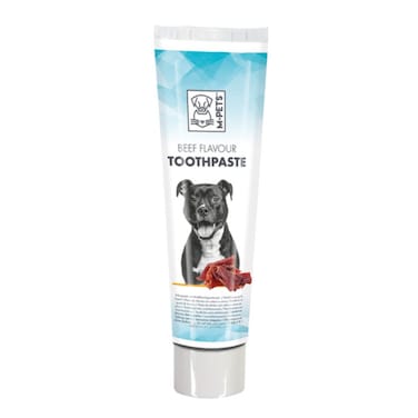 M-PETS Beef Flavor Dog Toothpaste 100g &ndash; Fresh Breath &amp; Oral Care