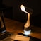 STARGOLD Touch Control Smart Dimmable Desk Lamp, RGB Nightlight USB Charging 2000 mAh Li-Lon Battert, Warm/Cool White