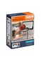 Colorland Basket Ball Sport Toys Series 777-438 D