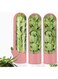 TR&Uuml;STMIEE Fresh Herb Keeper for Cilantro Pink