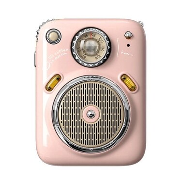 Divoom Beetle Fm Radio BT5.0 Speaker With Micro SD Card, Pink