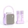 Divoom SongBird SE - Portable Dual Microphone Speaker - PURPLE
