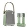 Divoom SongBird HQ 2 Portable Bluetooth Karaoke Speaker (Green)