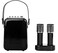 Divoom SongBird HQ 2 Portable Bluetooth Karaoke Speaker (Black)