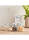 Box Essential 4-Piece Glass Spice Jar Set 22.3 x 8.4 x 7 cm